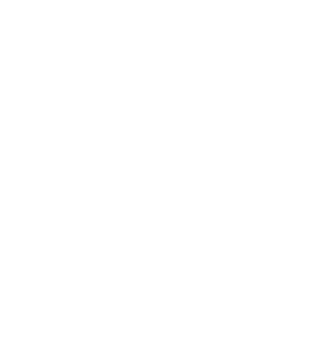 Я помню. Я горжусь